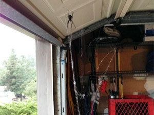 Black widow spider in garage