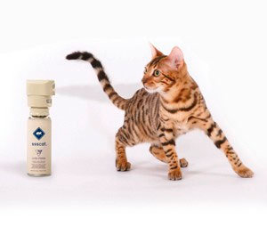 SSS Cat Automated Cat Deterrent Spray