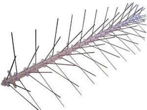 PANGCH Bird Spikes