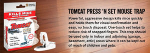 tomcat mouse
