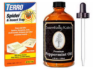 Terro trap and peppermint oil