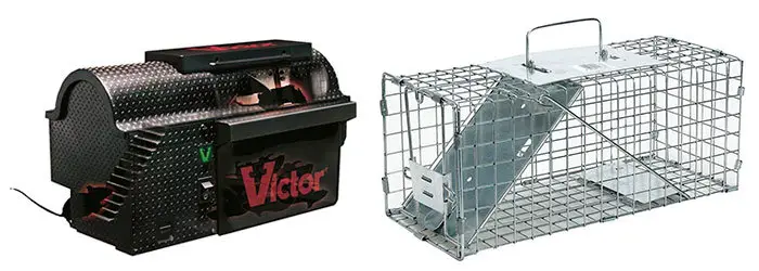 Victor and Havahart traps