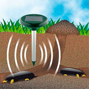 Ultrasonic for moles