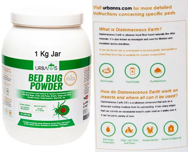 Bed Bugs Driving You Nuts? Here's How to Get Rid of Bed Bugs Naturally