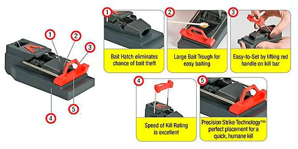 Step-by-step using Victor Mouse Trap