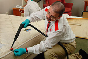 Vacuum for bed bugs