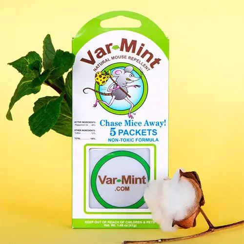 Mint mice repellent by Var-Mint