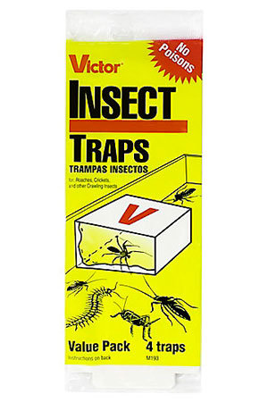 Insect traps by Victor