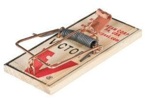 Victor mouse trap