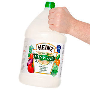 Heinz Vinegar