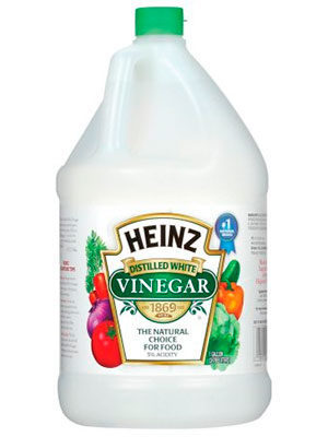 Heinz vinegar ants tips