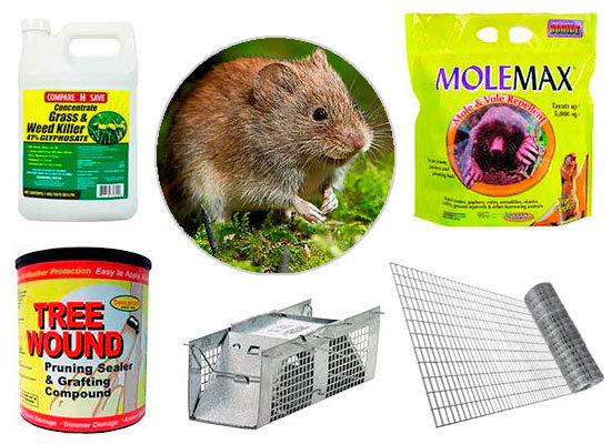 Vole removal methods