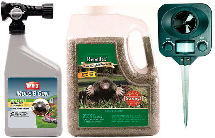 3 Best Vole Repellent Products [*2025 UPDATED*] Expert Review