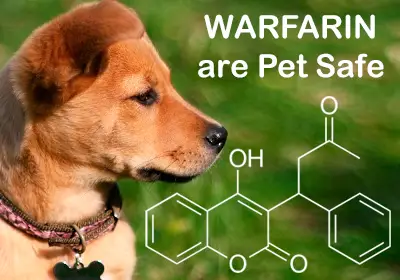 Warfarin are Pet Safe