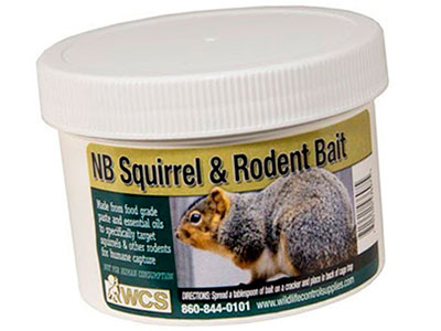 WCS NB Squirrel Bait