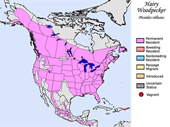 Woodpeckers habitat map