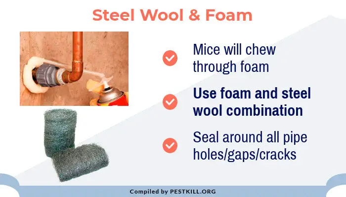 Steel Wool & Foam